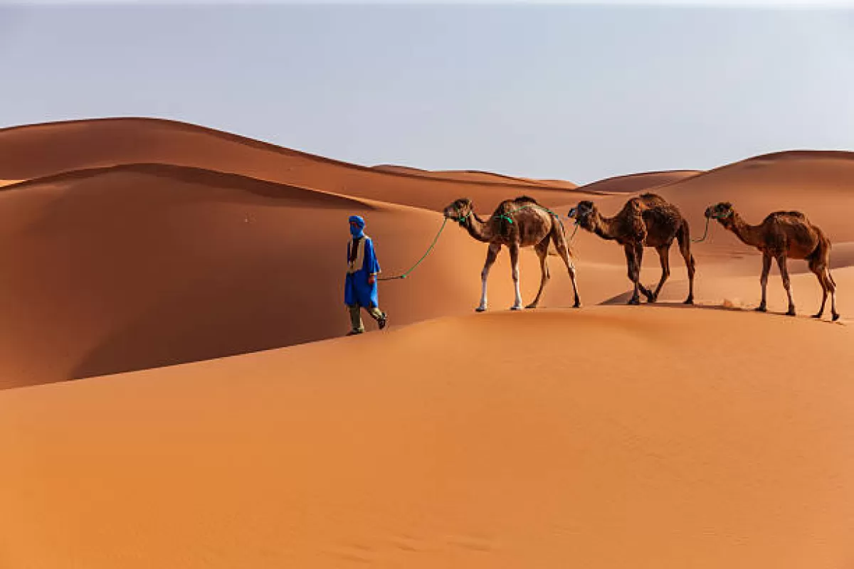 Marruecos con estilo 