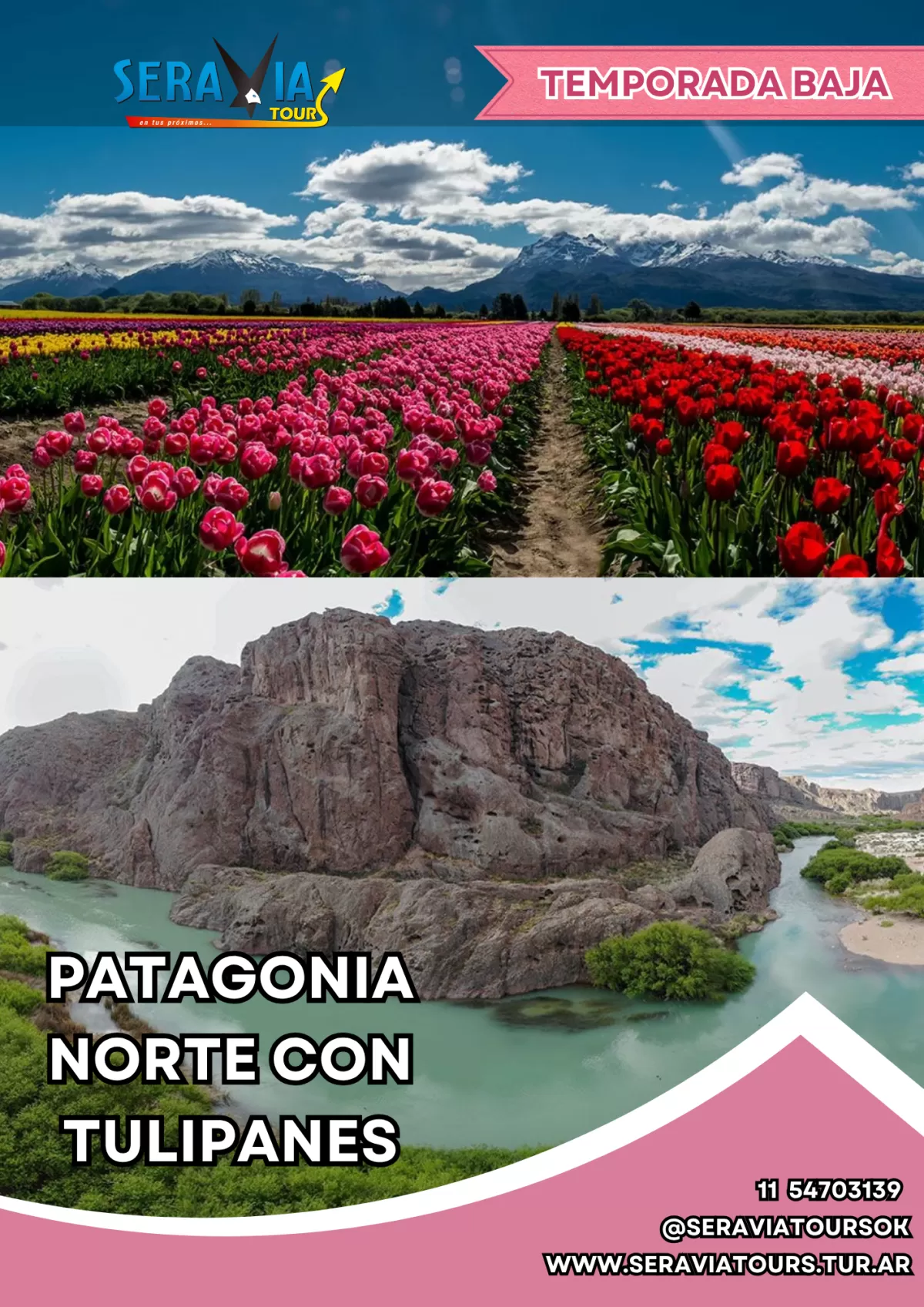 Imagen del lugar para PATAGONIA NORTE CON TULIPANES