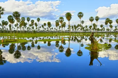 SENDEROS DEL BAÑADO - FORMOSA