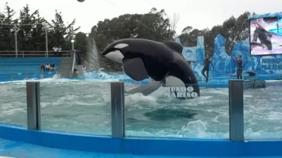 MUNDO MARINO