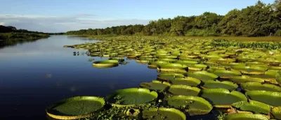 SAPUCAY DEL IBERA - CORRIENTES 
