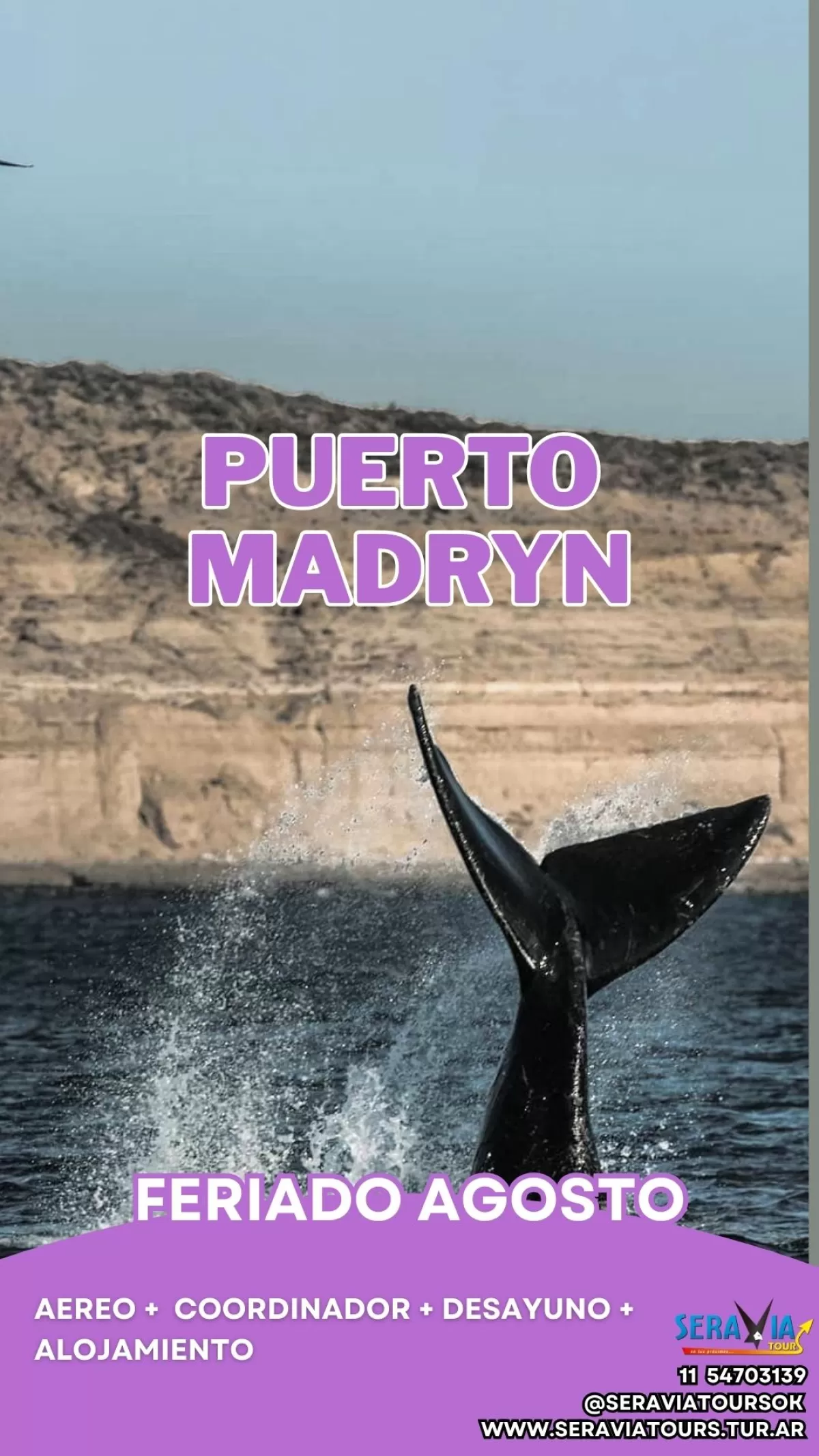 Imagen del lugar para Puerto Madryn - FERIADO de AGOSTO 