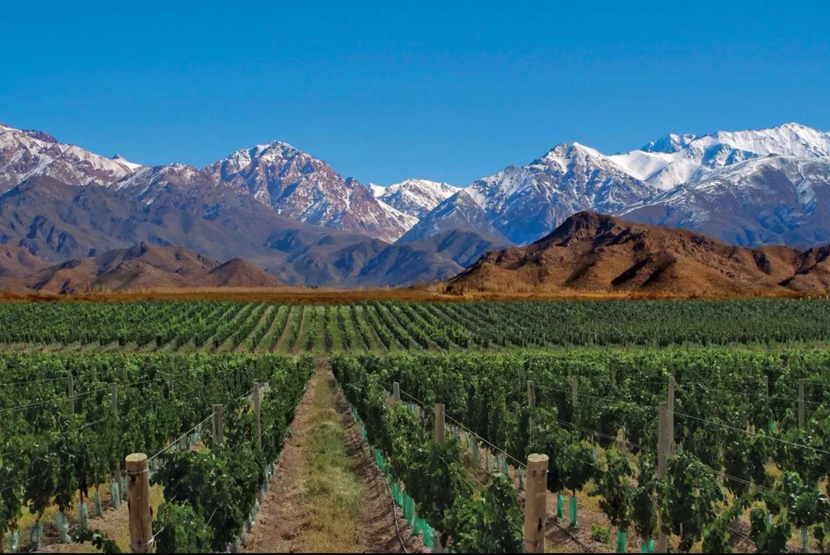 Mendoza - INVIERNO 03 CUOTAS 