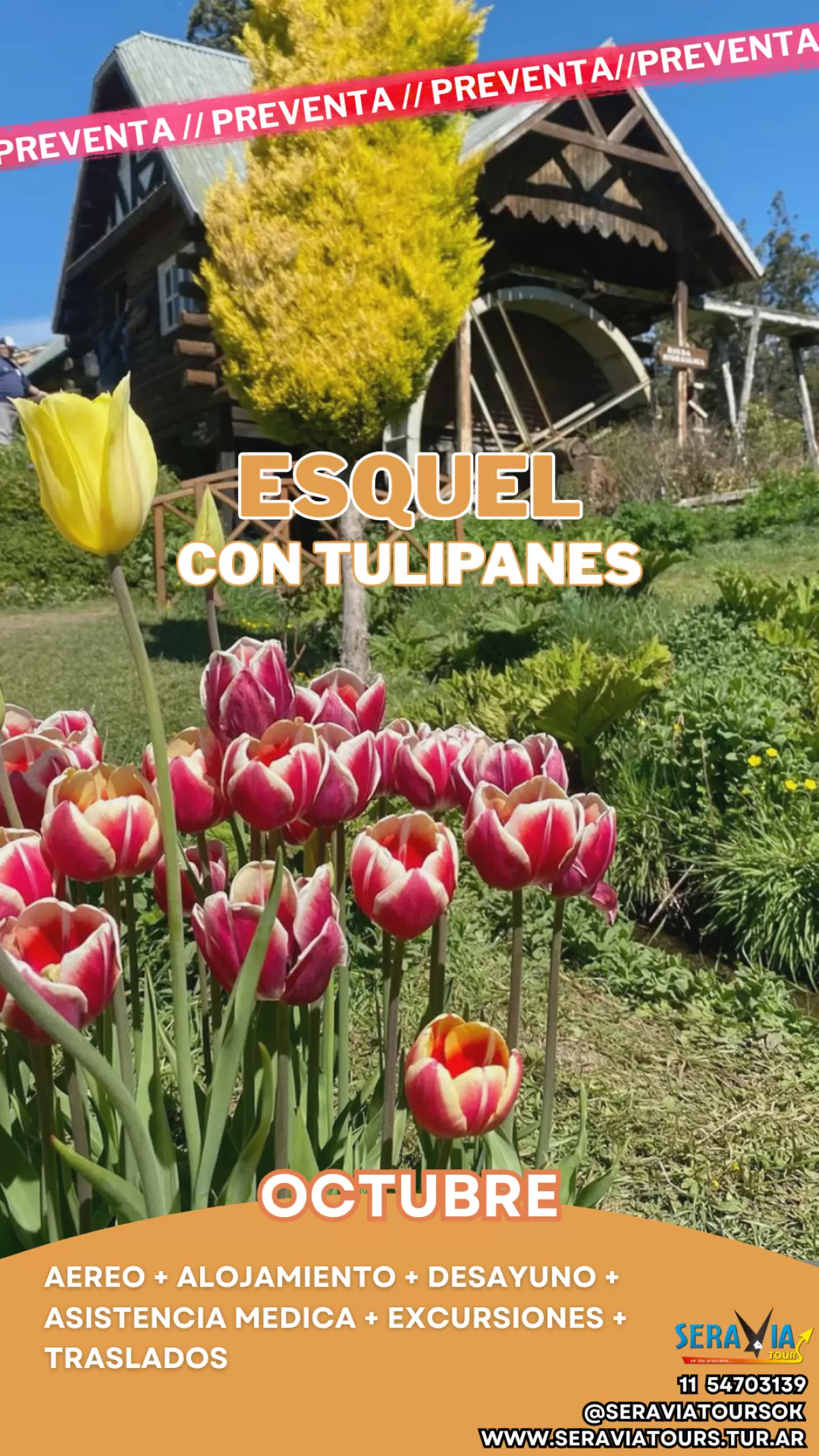 Imagen del lugar para Esquel con campo de Tulipanes 
