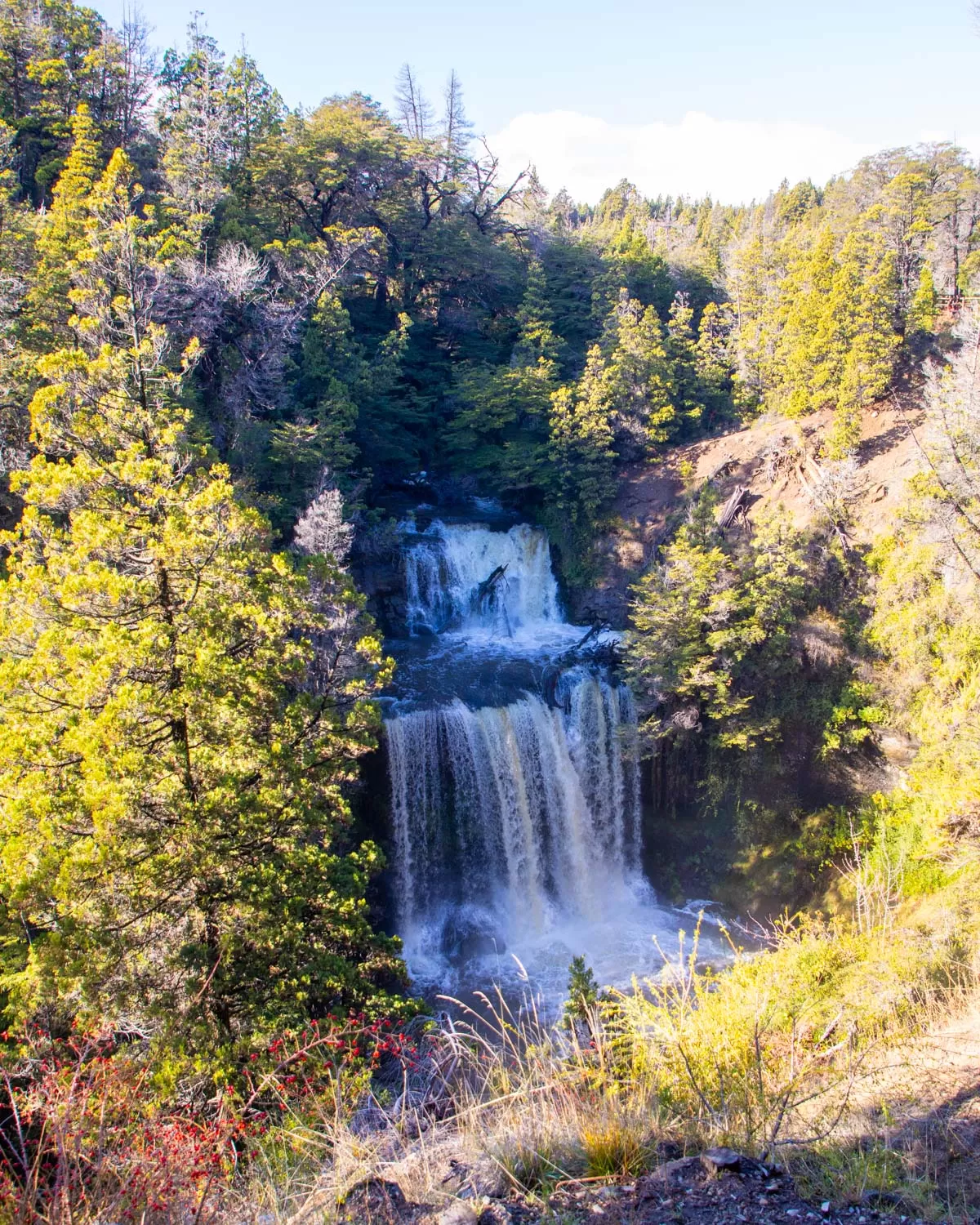 Esquel con campo de Tulipanes 
