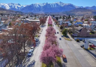 Esquel con campo de Tulipanes 